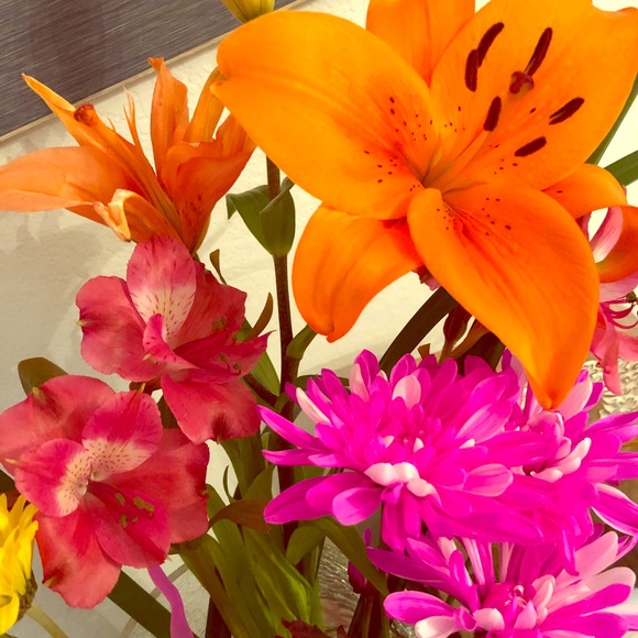 Meet your Posher, Ina - Picture 1 of 1